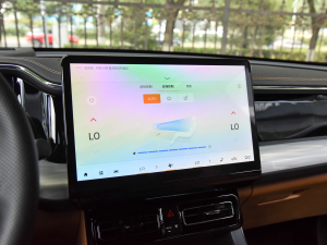 2024pϵ 2.0TM F п؅^