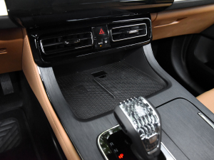 2024pϵ 2.0TM F п؅^