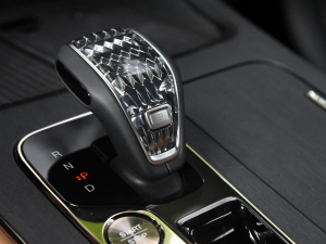 2024pϵ 2.0TM F п؅^