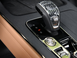 2024pϵ 2.0TM F п؅^