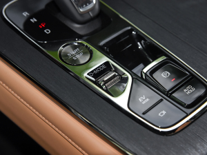 2024pϵ 2.0TM F п؅^