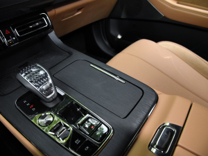 2024pϵ 2.0TM F п؅^