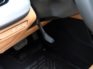 2024pϵ 2.0TM F п؅^