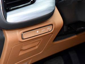 2024pϵ 2.0TM F п؅^