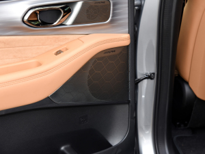 2024pϵ 2.0TM F п؅^