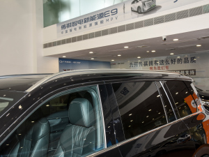 2024I(lng)ϵ 2.0TGDI (q)A(lin) (x)(ji)^