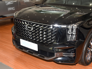 2024I(lng)ϵ 2.0TGDI (q)A(lin) (x)(ji)^