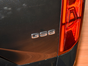 2024I(lng)ϵ 2.0TGDI (q)A(lin) (x)(ji)^