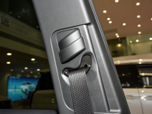 2024I(lng)ϵ 2.0TGDI (q)A(lin) g