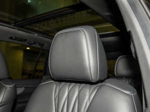 2024I(lng)ϵ 2.0TGDI (q)A(lin) g