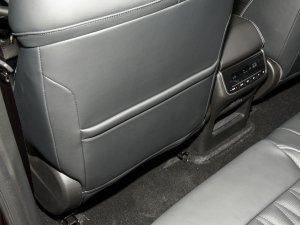 2024I(lng)ϵ 2.0TGDI (q)A(lin) g