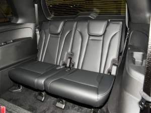 2024I(lng)ϵ 2.0TGDI (q)A(lin) g