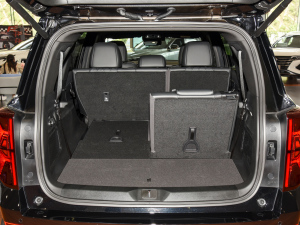 2024I(lng)ϵ 2.0TGDI (q)A(lin) g