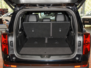 2024I(lng)ϵ 2.0TGDI (q)A(lin) g