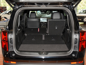 2024I(lng)ϵ 2.0TGDI (q)A(lin) g