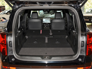 2024I(lng)ϵ 2.0TGDI (q)A(lin) g