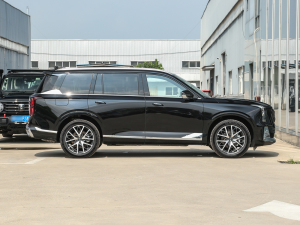 2024pϵ 2.0TM (q)F (c)ң