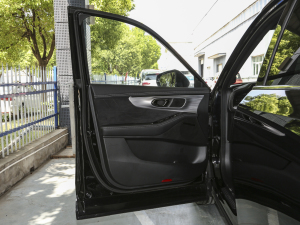 2024pϵ 2.0TM F {λ܇T