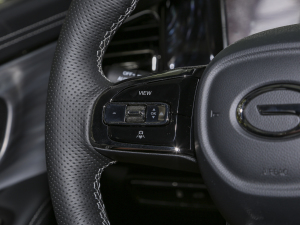 2024pϵ 2.0TM F п؅^