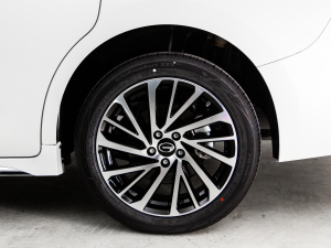 2024MAX 270T WDCT s ^