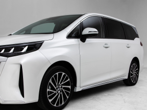 2024MAX 270T WDCT s ^