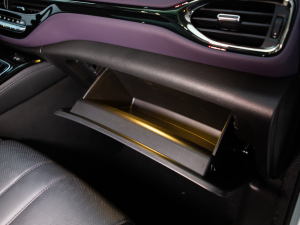 2024MAX 270T WDCT s g