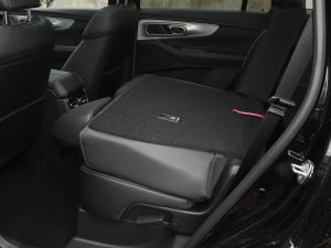 2025I(lng)ϵ 2.0TGDI (q)A 5 g