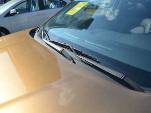 2017235T ԄӃ򌾫Ӣ ˢ