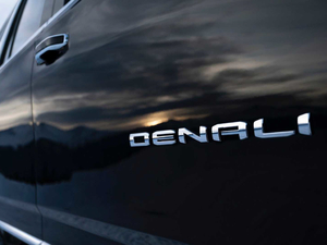 2021Denali ϸ