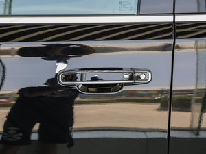 20166.2L XL DENALIL(zhng) 4WD {T