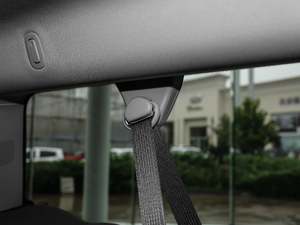 20186.2L DENALILS 4WD g