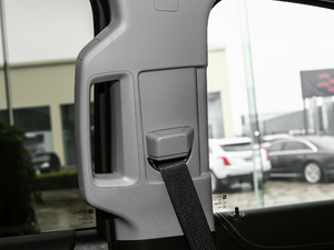 20186.2L DENALILS 4WD g