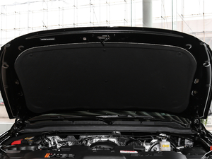 20186.2L DENALIL(zhng)S 4WD 