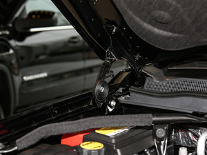 20186.2L DENALIL(zhng)S 4WD 