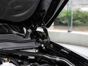 20186.2L DENALILS 4WD 