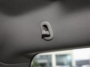 20186.2L DENALI 4WD g