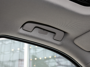 20186.2L DENALI 4WD g