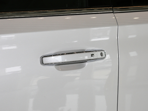 20186.2L DENALILS 4WD {T