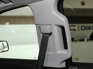 20186.2L DENALILS 4WD g