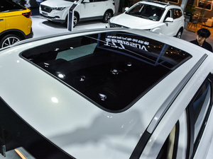 2019230TID Ԅm VI ܇