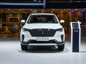2019款1.6L 手动豪华型 国VI 正前
