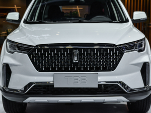 2019款1.6L 手动豪华型 国VI 中网