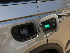 2020������� �����w