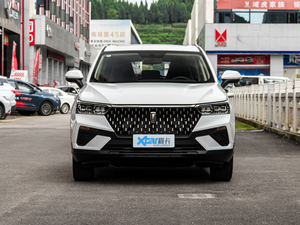 2020款PRO 280TID 手动豪华型 正前