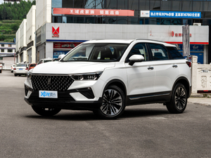 2020款PRO 280TID 手动豪华型 左前45度
