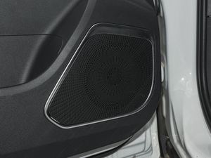 2020PRO 280TID ԄӾӢ g