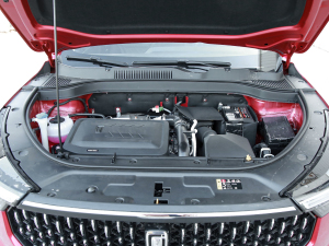 20211.5T ţİ  l(f)әC