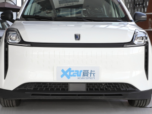 2021款市场拓展版 中网