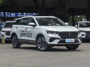 2021款PRO 280TID 自动豪华型 整体外观