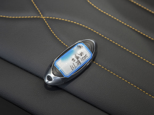 2021PRO 280TID ԄӺA 